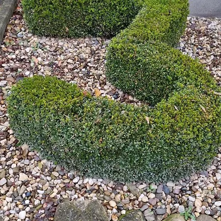 Richter-haustein Appartement