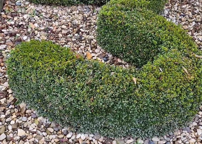 Richter-haustein Lägenhet